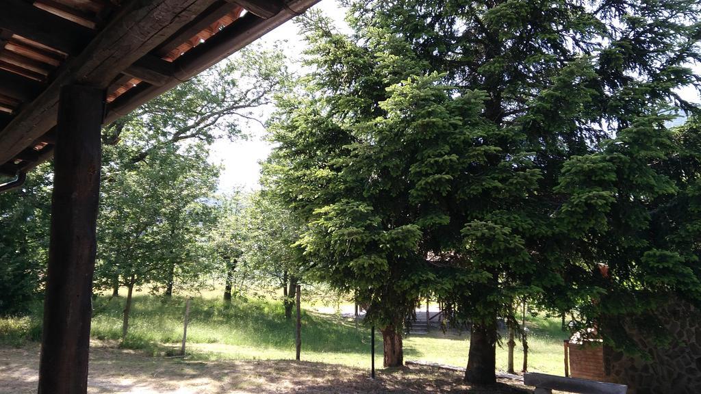 Agriturismo Collevento Trecchina Exterior photo